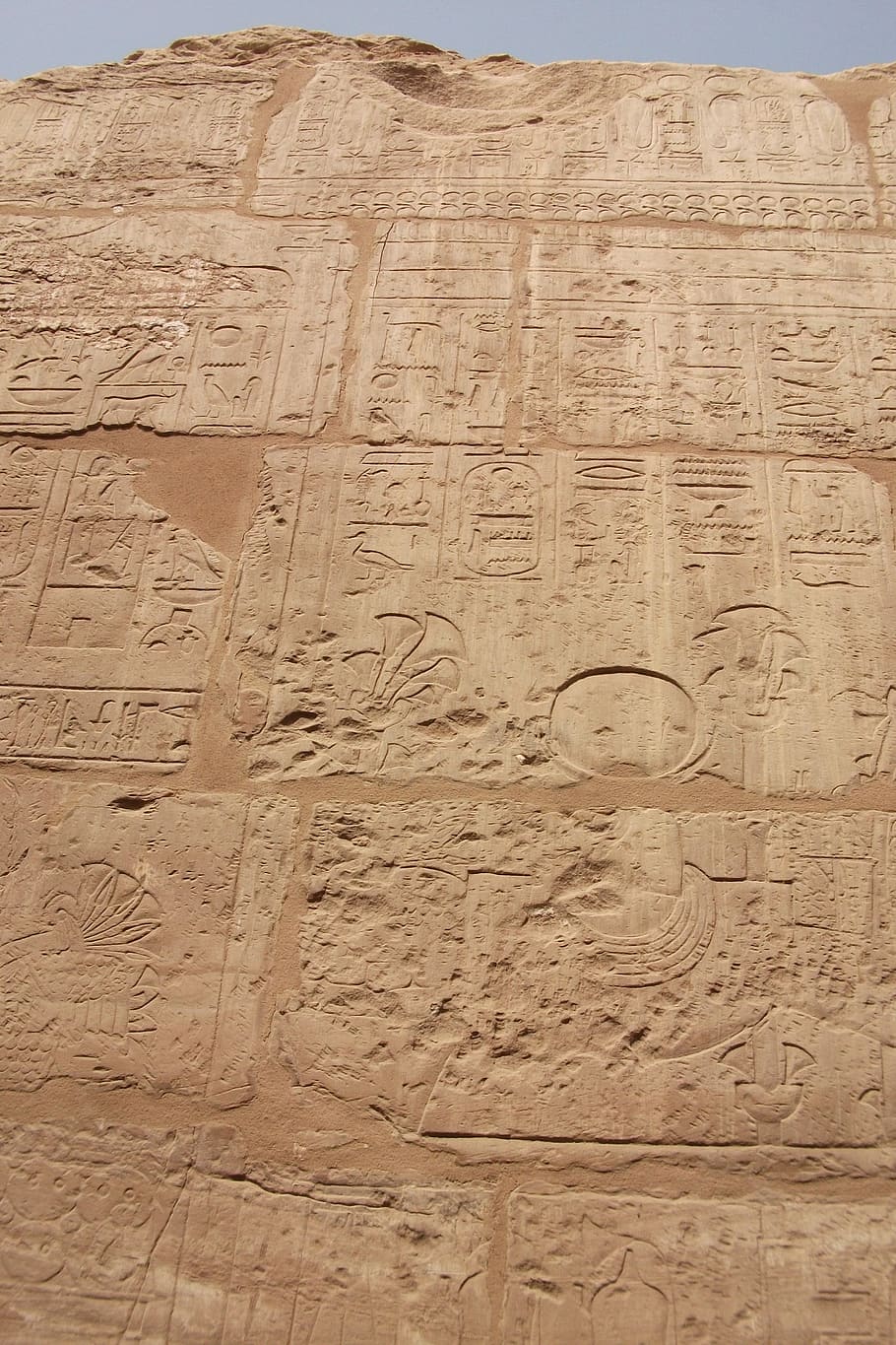 hieroglyphics, pharaohs, egypt, luxor, karnak, inscription, HD wallpaper