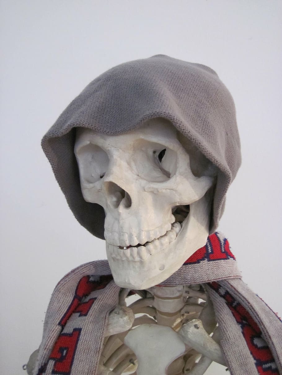 skeleton, cap, scarf, bone, fun, representation, human representation HD wallpaper
