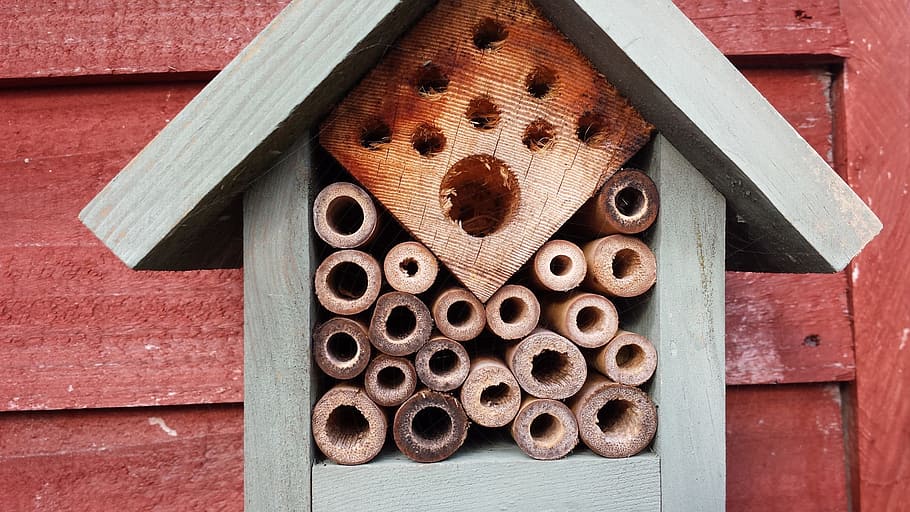 natural, bees, wood, garden, nature, hive, insect, apiary, wood - material