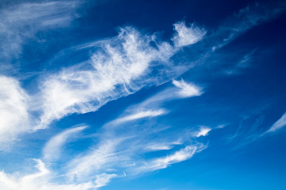 cumulus clouds on blue sky, cirrus, white, cloudscape, clouds form HD wallpaper