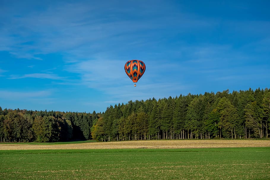balloon, drive, sky, blue, forest, meadow, field, landing, fly HD wallpaper
