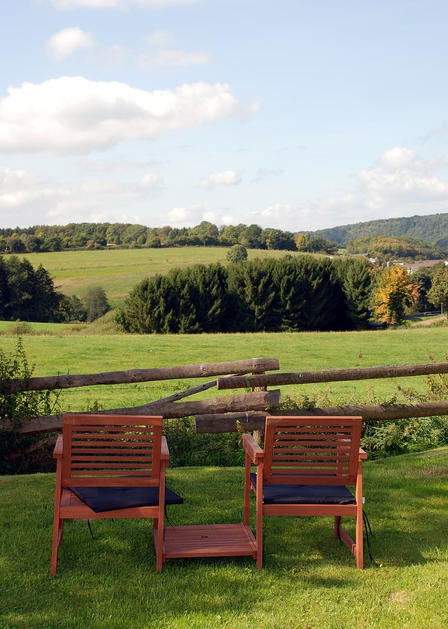 bank, sit, view, landscape, green, sky, plant, seat, tree, field HD wallpaper