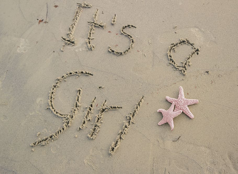 it's a girl shore sand engraved, starfish, pink, beach, words HD wallpaper