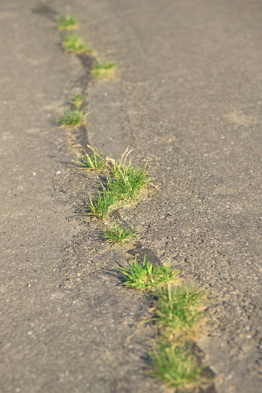road, state, defect, hole, pothole, grass, crack, grow, resistance HD wallpaper