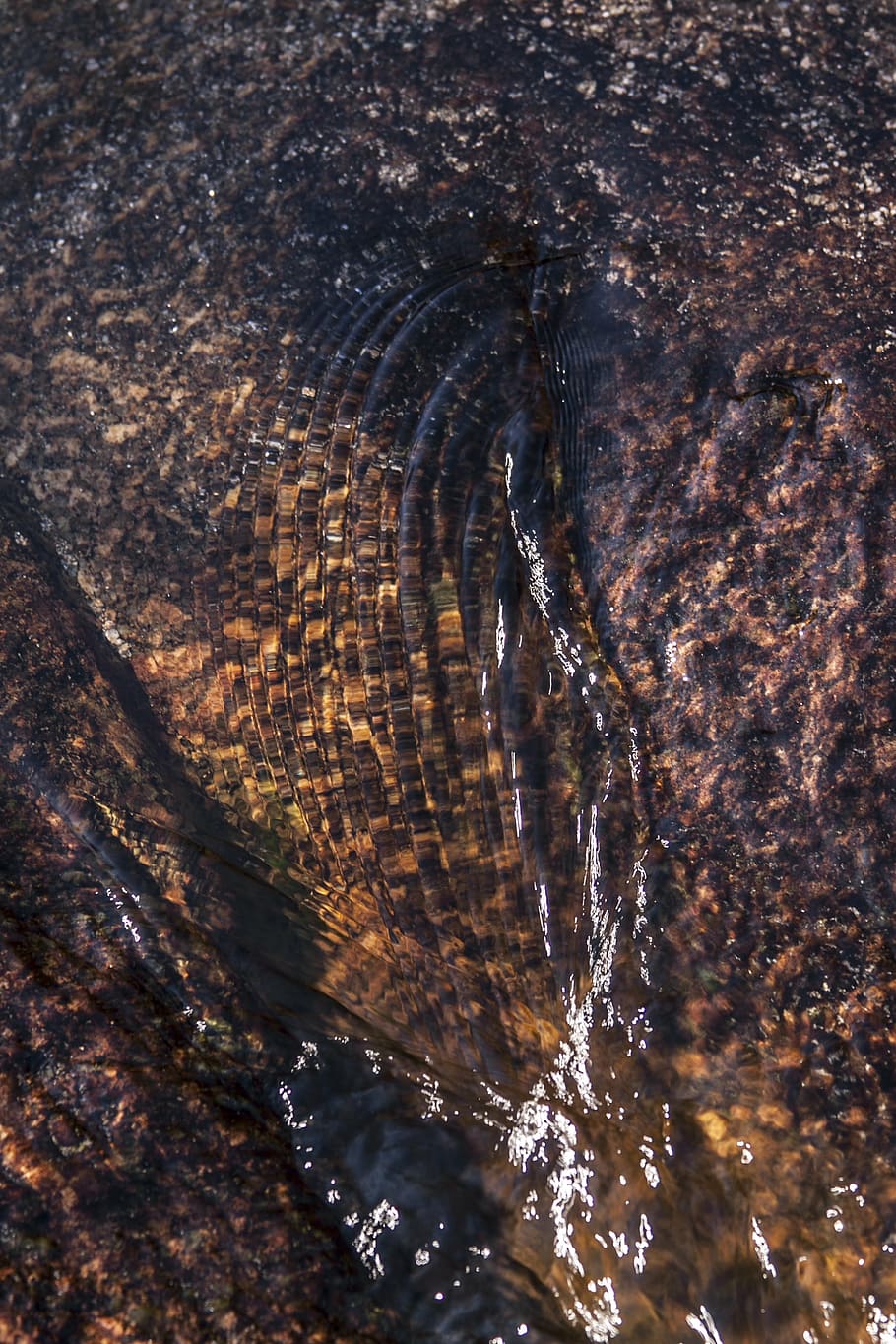 texture, water, worn, nature, backgrounds, abstract, no people HD wallpaper