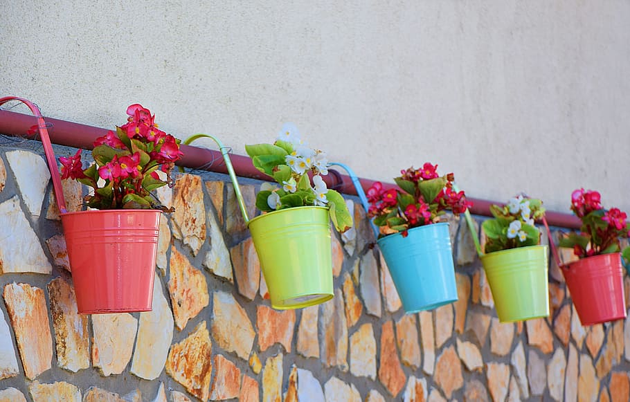 Tile, Flower, Pot, Peaceful, Flowers, plant, nature, potted flower HD wallpaper