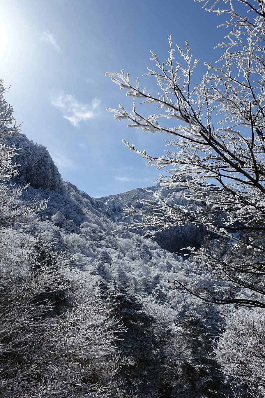 Winter, Snow Mountain, Jeju Island, republic of korea, landscape, HD wallpaper