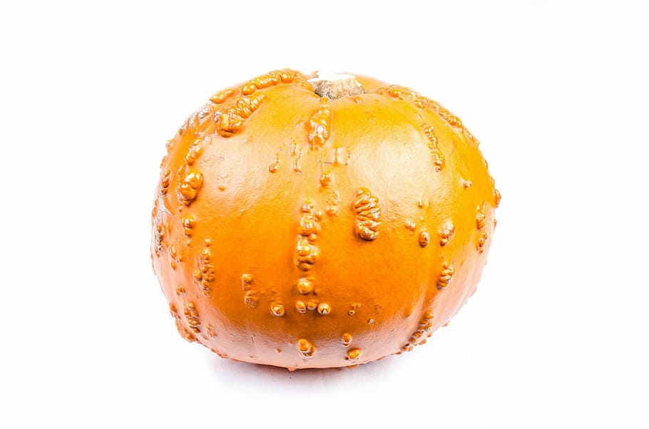 Pumpkin, Decorative, Market, mini, close-up, isolated, halloween HD wallpaper