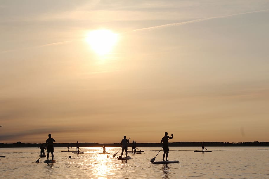 stand up paddle, sunset, sky, water, silhouette, group of people, HD wallpaper