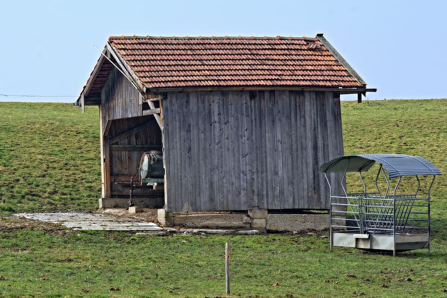 hut, barn, nature, field, meadow, field barn, log cabin, scheuer HD wallpaper