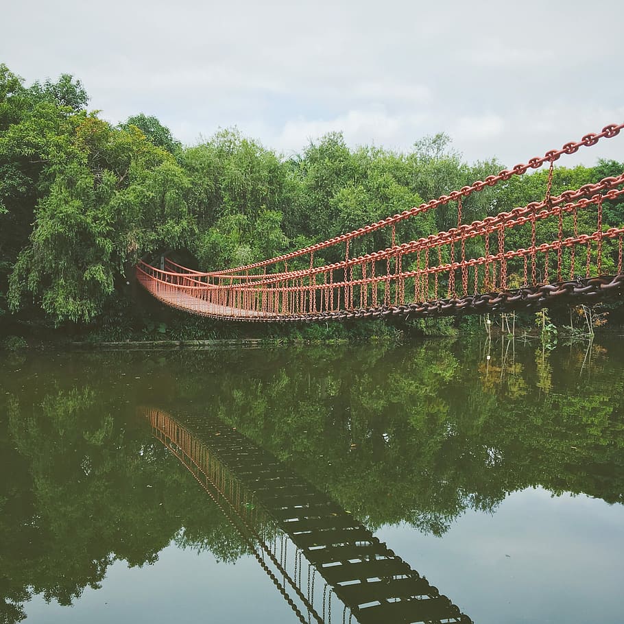 Suspension Bridge, Beck, Reflection, spring, tree, river, day HD wallpaper