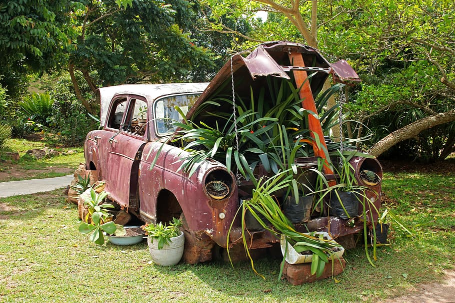 brown vehicle with plants, vintage car, plants under bonnet, old, HD wallpaper