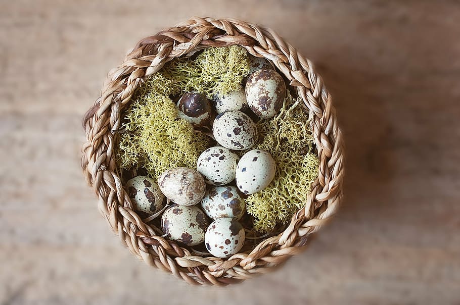 basket of quail eggs, nest, easter nest, small eggs, deco, decoration