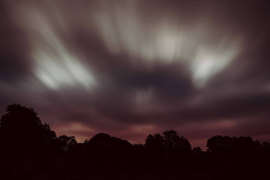 silhouette tree under cloud, silhouette of trees, long exposure HD wallpaper