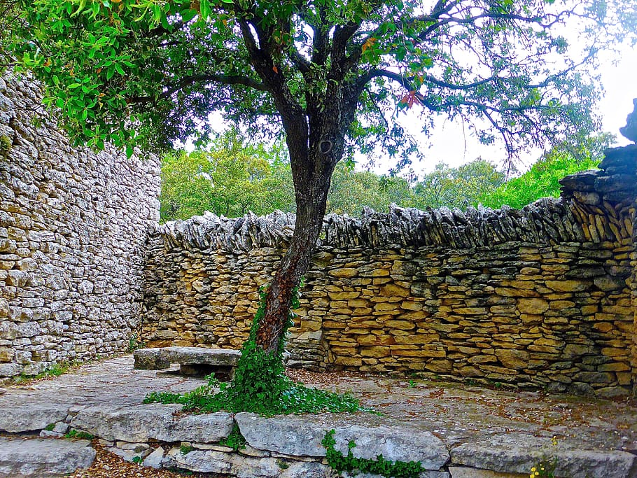 courtyard, private, stone, wall, tree, peaceful, privacy, protection HD wallpaper