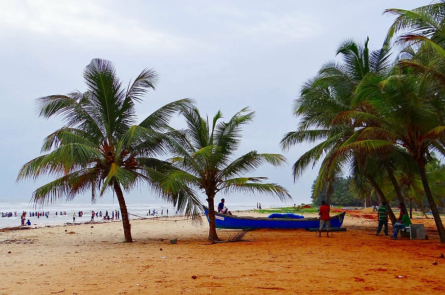 malpe beach, arabian sea, palm trees, sand beach, beautiful beach, HD wallpaper