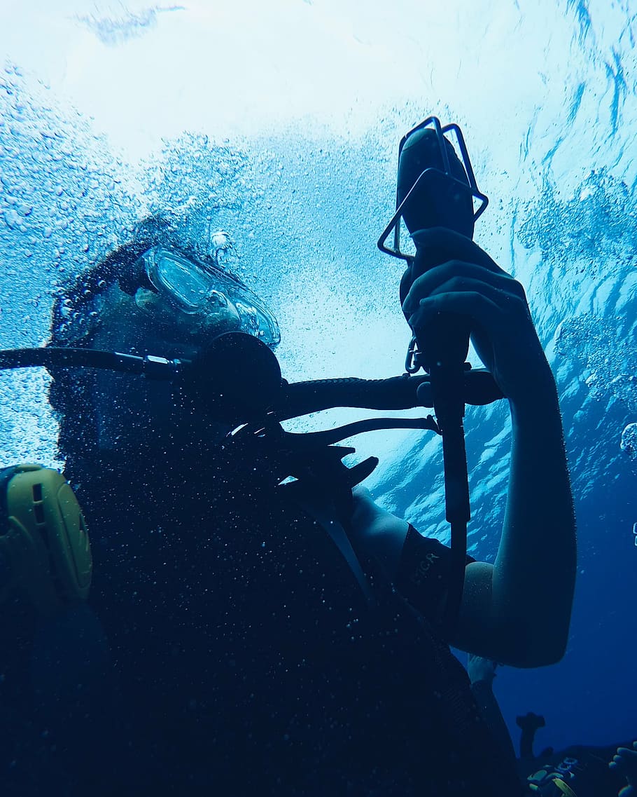 diver, diving, exploration, man, ocean, swimming, underwater HD wallpaper