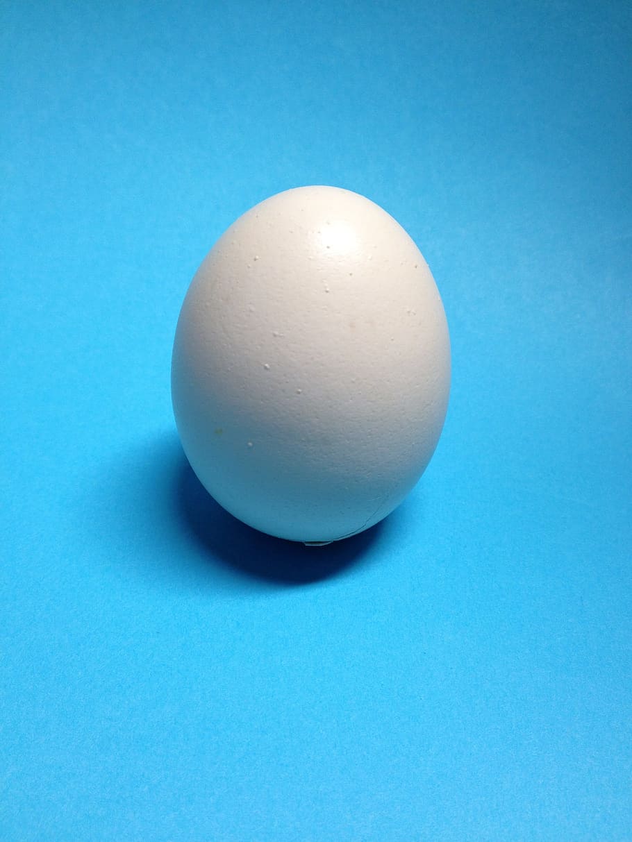 Egg, Lunch, Nutrition, original, blue, blue background, colored background HD wallpaper