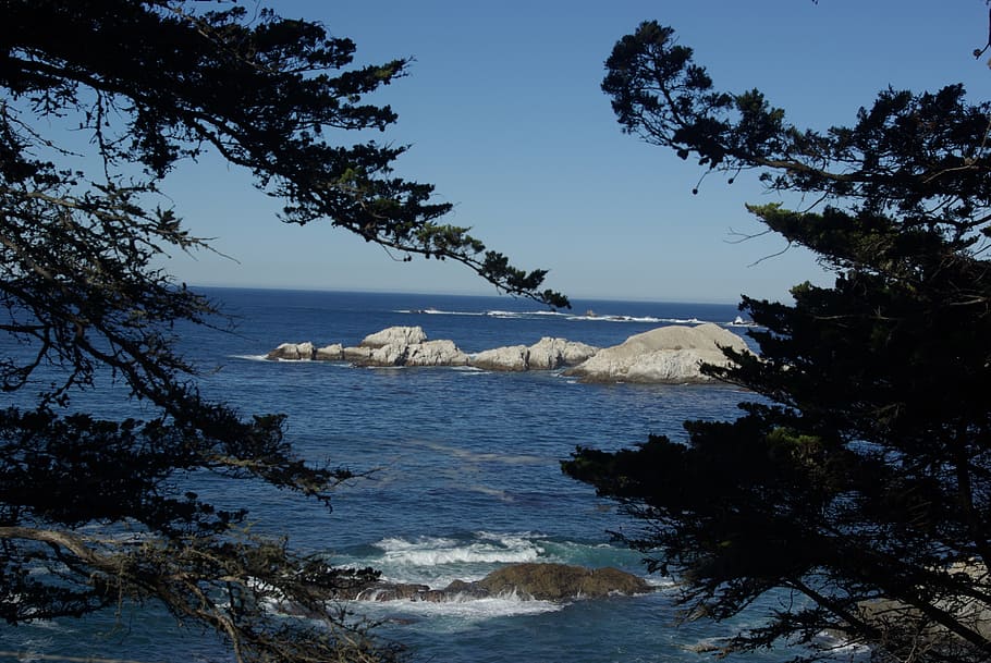 scenic, silhouette, trees, coast, view, sea, water, landscape HD wallpaper
