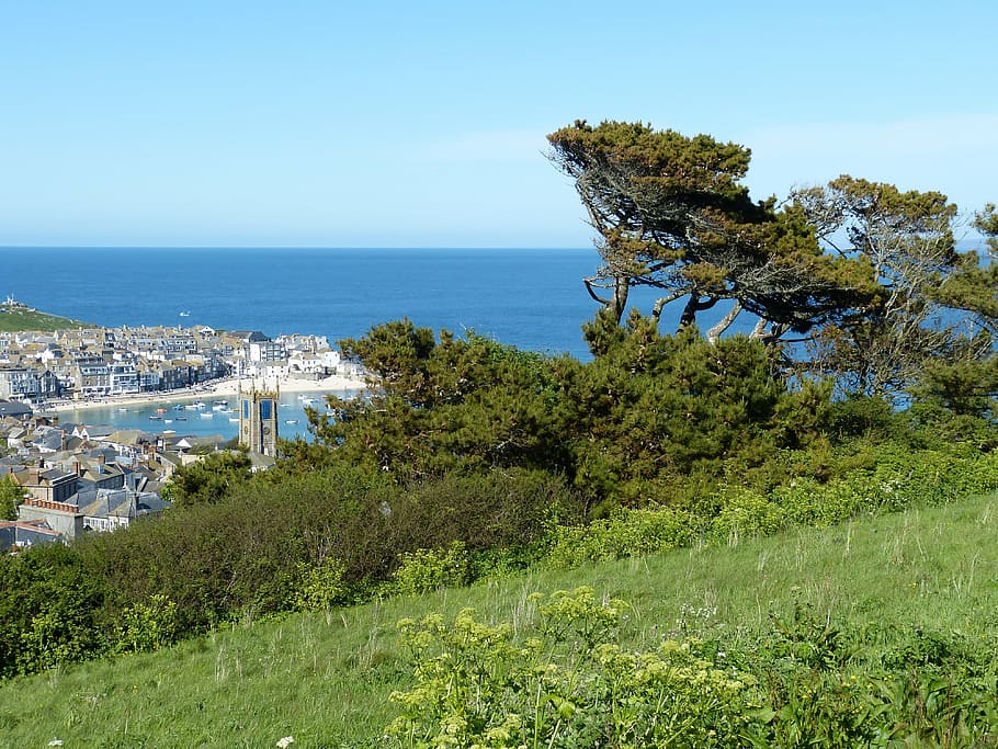 cornwall, st ives, england, united kingdom, holiday, sea, conifer HD wallpaper