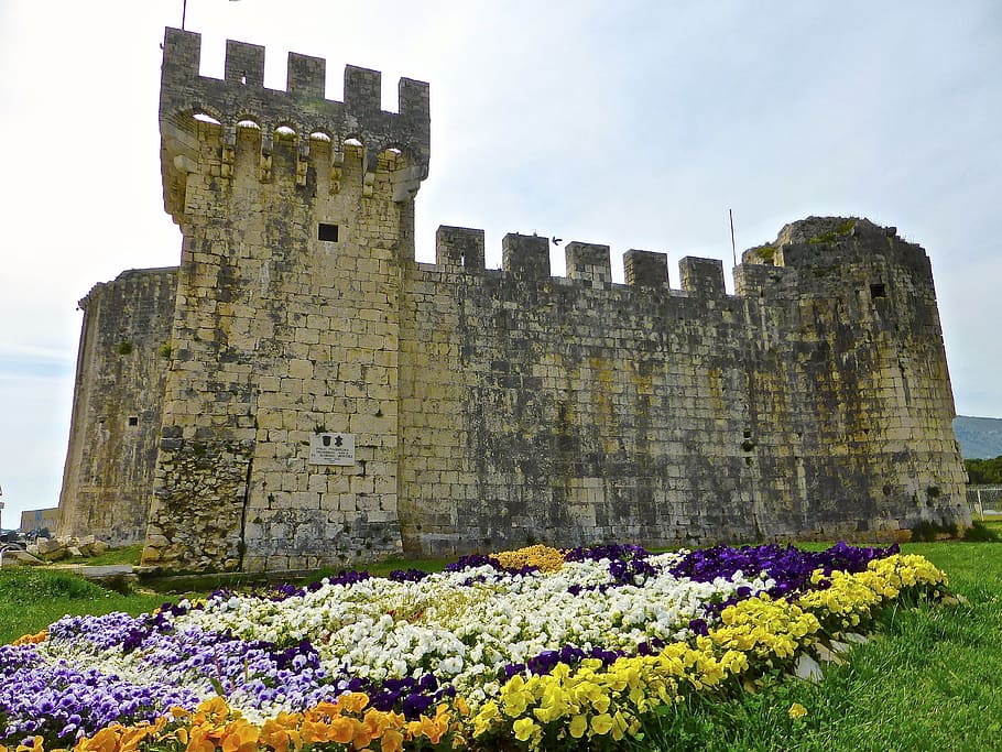 castle, flowers, historic, tower, medieval, landmark, facade HD wallpaper
