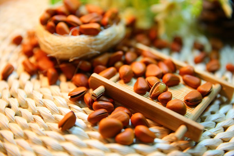 pine nuts, protein, food, seed, food and drink, selective focus HD wallpaper