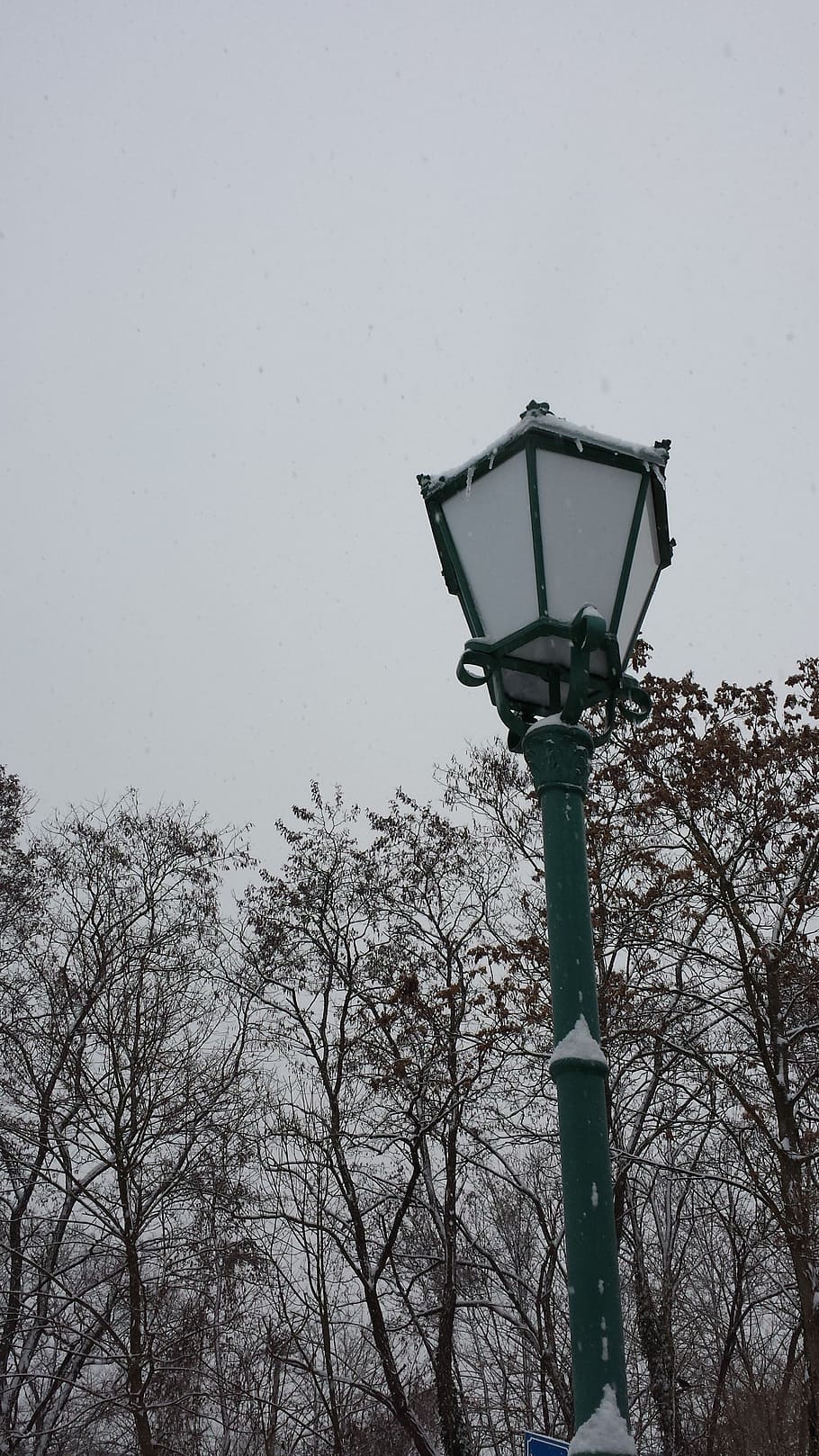 winter, lantern, snow, white, black, cold, branches, black and white HD wallpaper