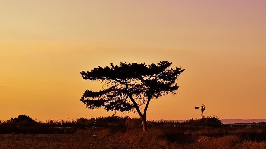 tree, sunset, landscape, sky, clouds, nature, autumn, colors HD wallpaper