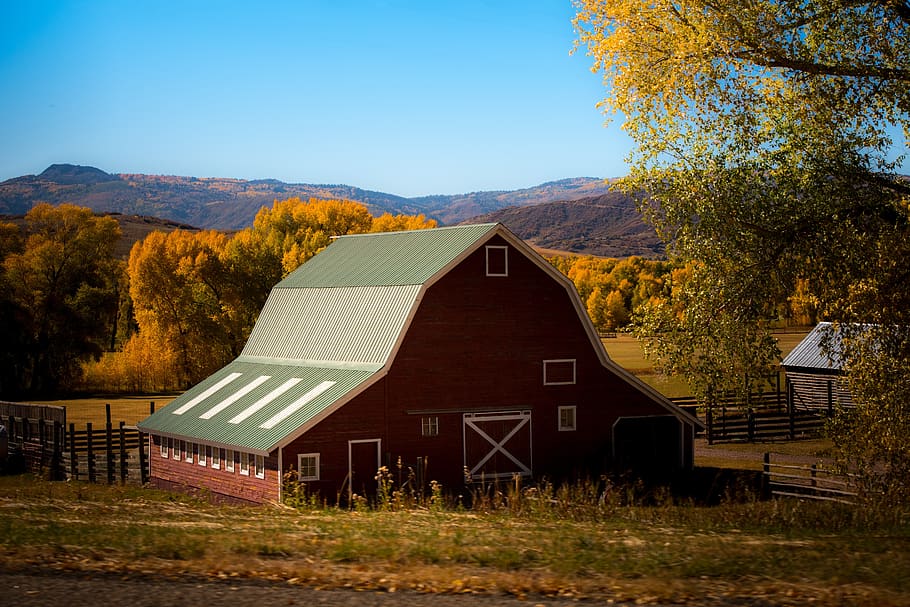 architecture, structure, establishment, cabin, barn, woods HD wallpaper