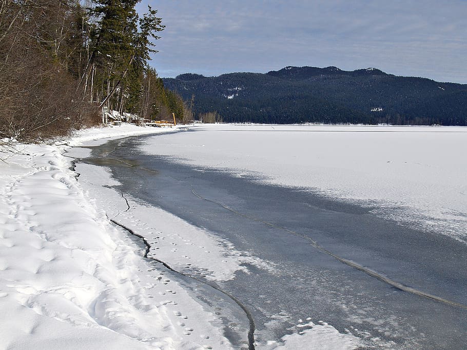 winter, scenery, trees, cold, snow, landscape, frozen, lake HD wallpaper