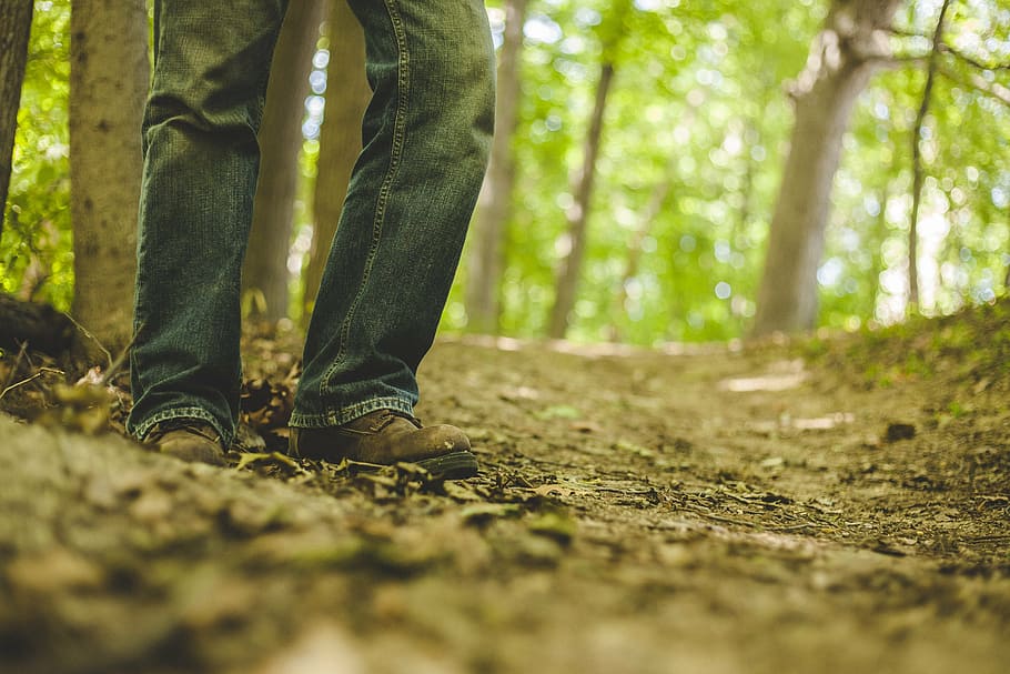 man standing into the woods, blur, color, daylight, environment HD wallpaper