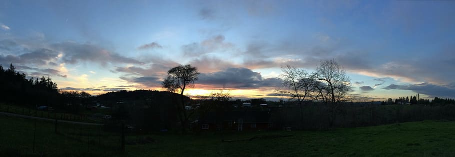 northwest, sunset, nature, sky, cloud - sky, tree, plant, environment HD wallpaper