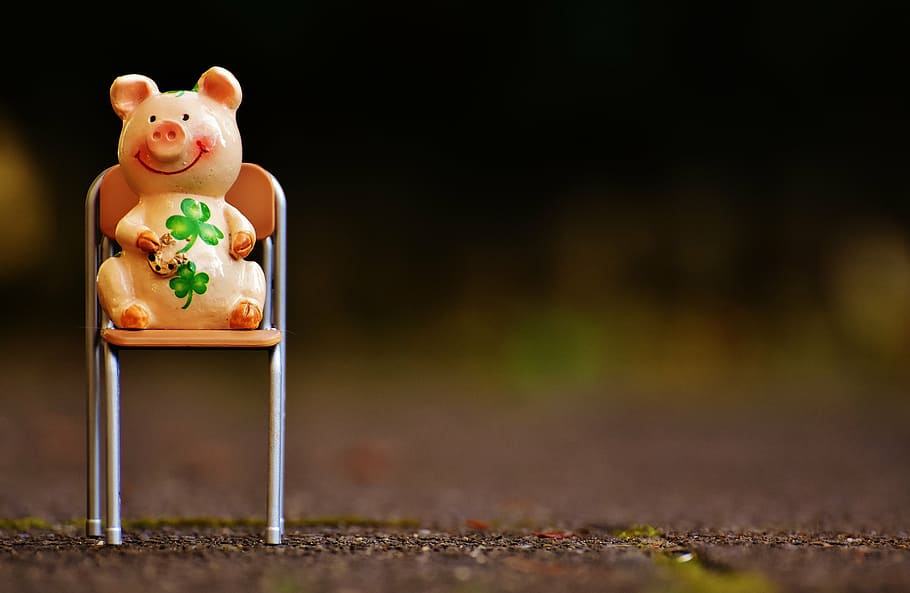 selective focus photography of pig figurine on chair, lucky pig