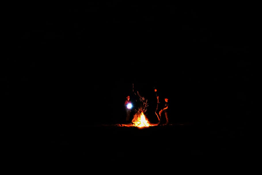 silhouette photography of bone fire, group of people making bonfire HD wallpaper