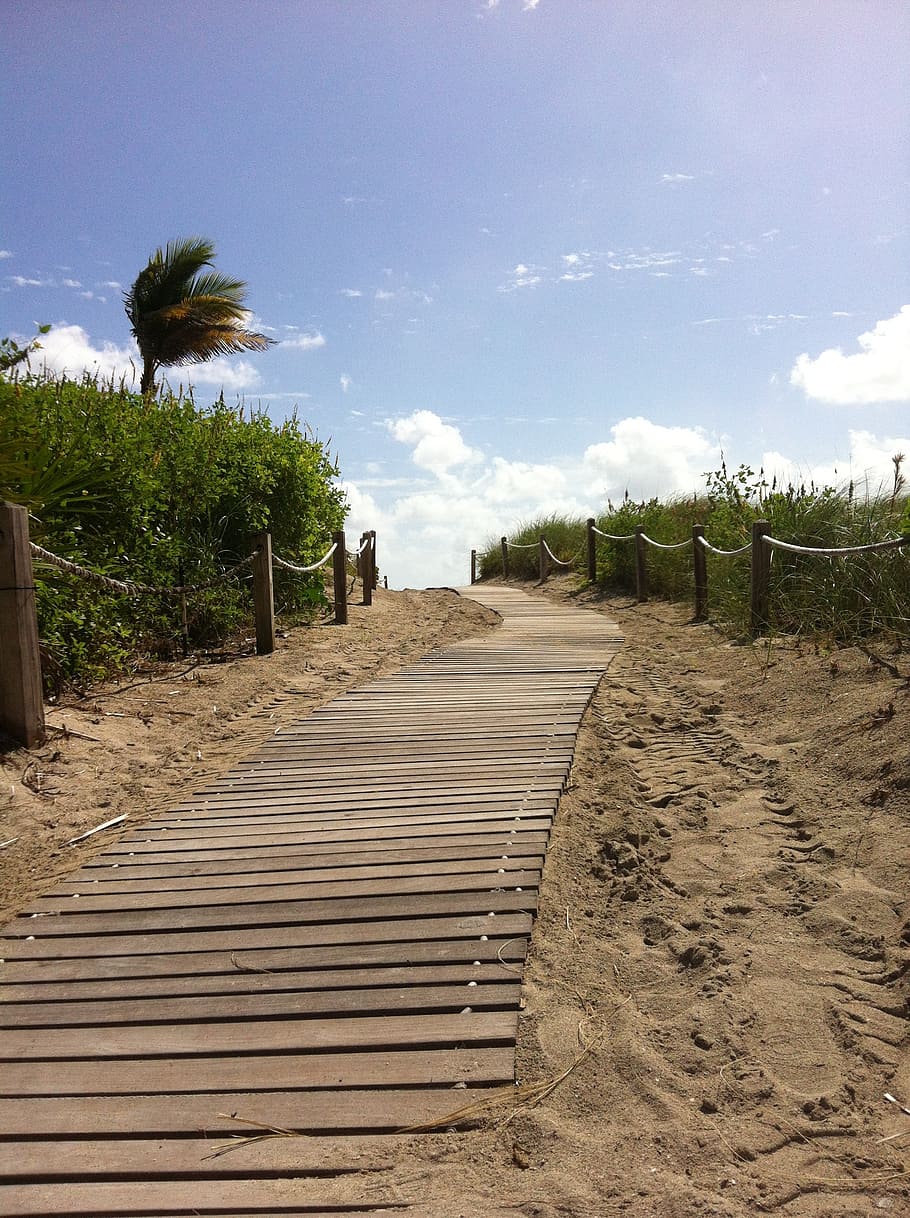 miami, beach, sand, summer, miami beach, palms, beach road HD wallpaper