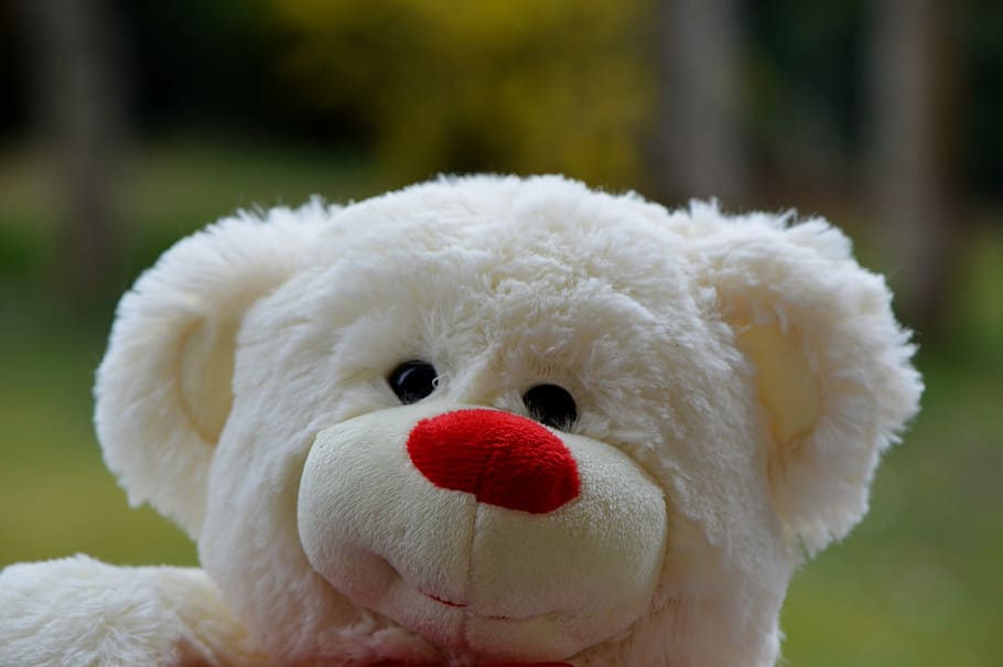 Bear, Bears, Plush, Cute, Sweet, teddy, funny, white color HD wallpaper