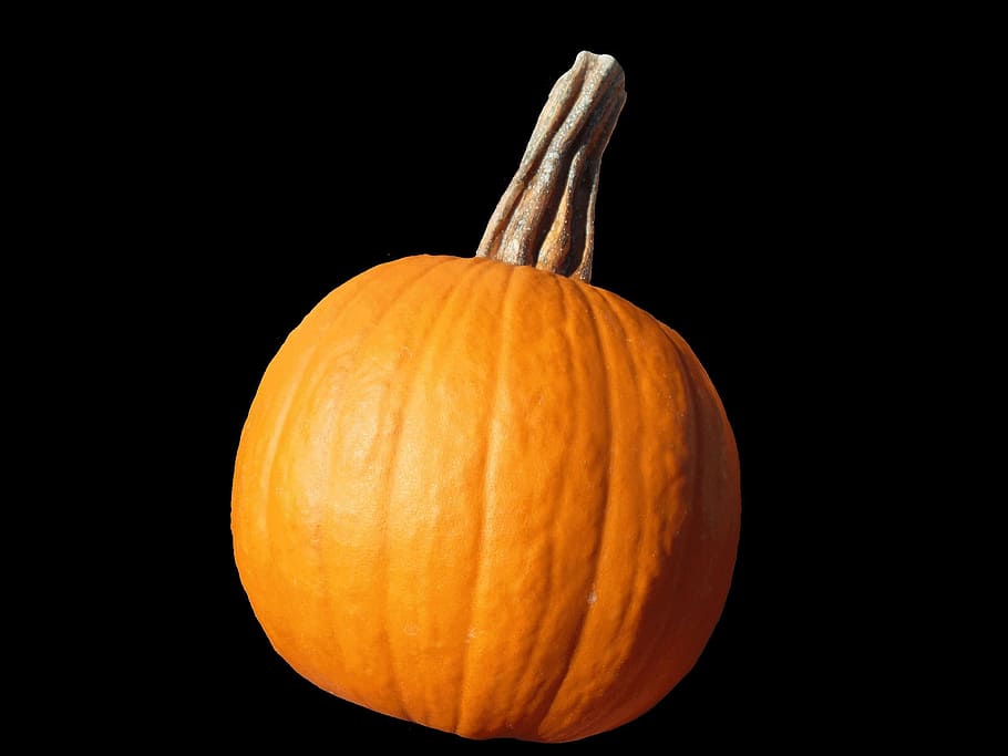 pumpkin, vegetable, pumpkins, vegetables, plants, flora, orange color HD wallpaper