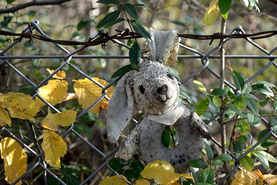 Stuffed Animal, Old, Forget, Lost, wire mesh fence, wire fence HD wallpaper