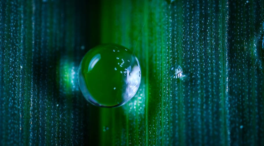 background, abstract, no one, drop, macro, sphere, green color HD wallpaper