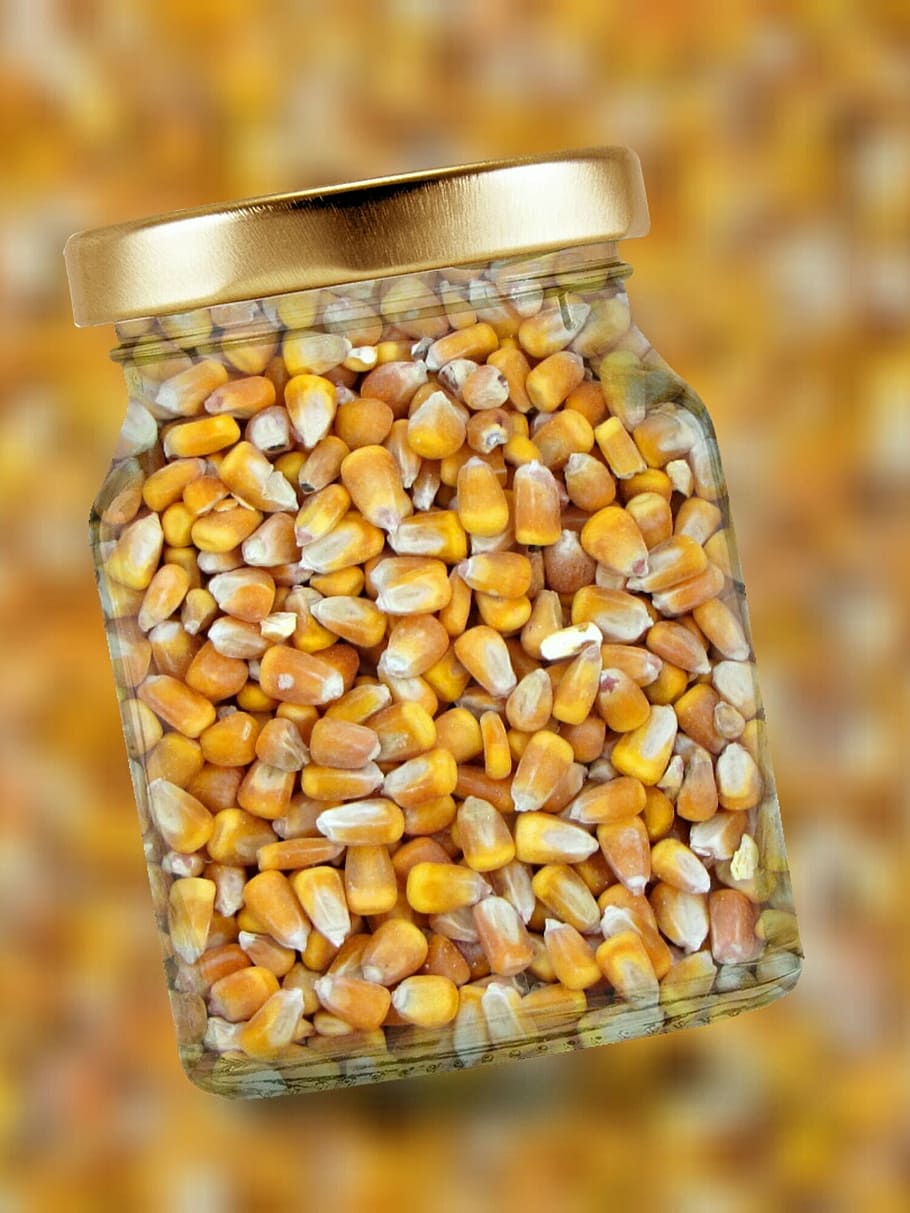 corn, glass, lid, corn kernels, food, seed, yellow, food and drink HD wallpaper