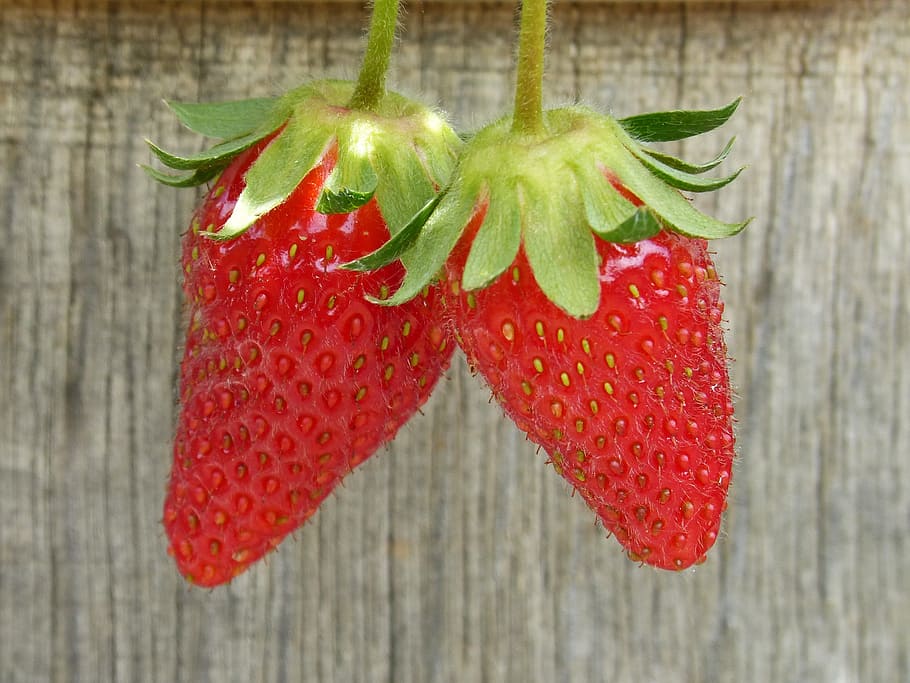 strawberries, fruit, red, sweet, food and drink, berry fruit HD wallpaper