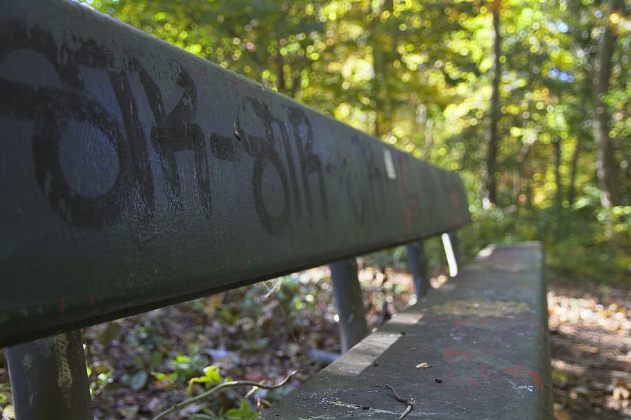 bench, lonely, forest, nature, sit, tree, plant, day, no people HD wallpaper