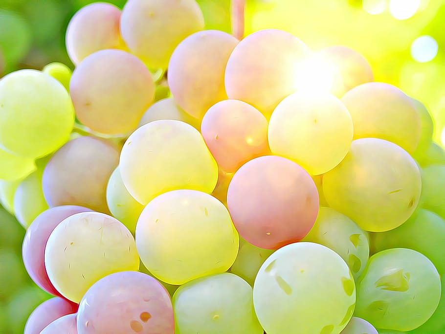 closeup photography green grapes, crop, wine, cluster crop HD wallpaper