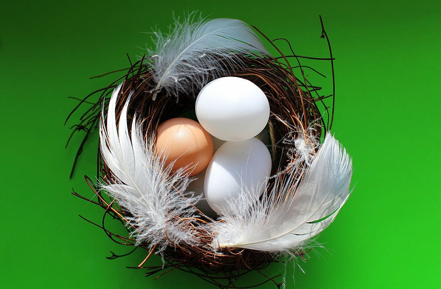 poultry eggs in nest, decoration, nature, pen, birds, easter HD wallpaper