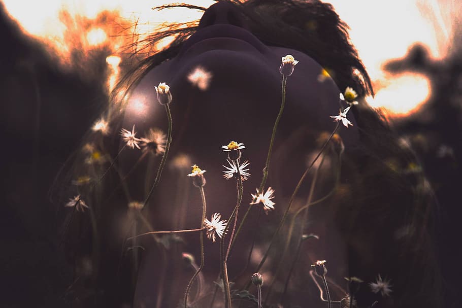 nature, person, woman, flowers, blur, chamomile, close-up, delicate HD wallpaper