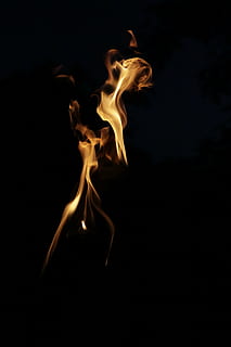 fire on black background, night, light, flame, energy, burning HD wallpaper