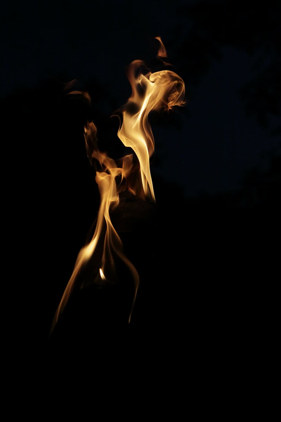 fire on black background, night, light, flame, energy, burning HD wallpaper