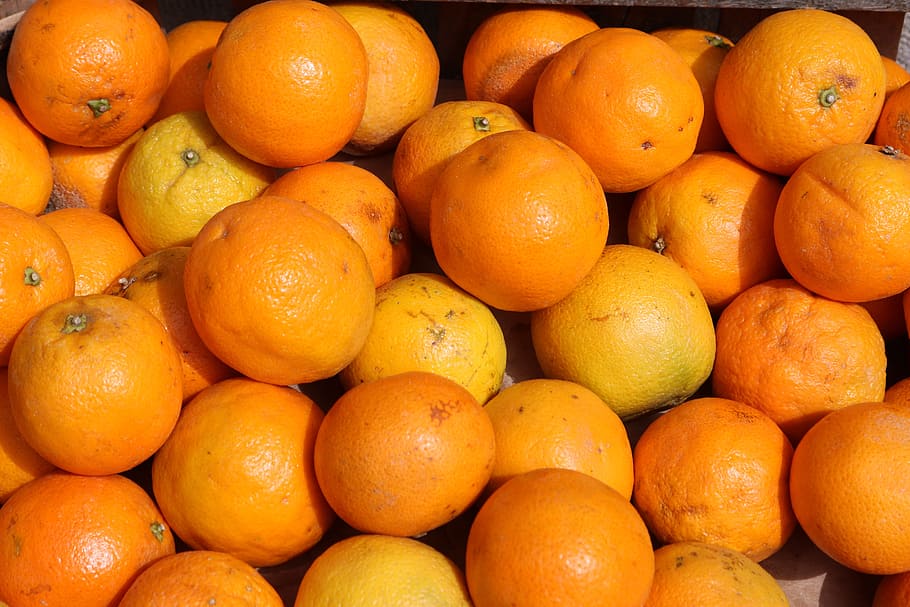 oranges, citrus fruit, vitamin c, citrus fruits, healthy, farmers local market HD wallpaper
