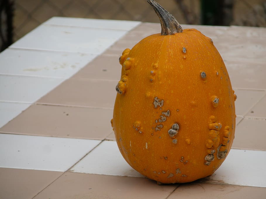 pumpkin, food, vegetable, food and drink, orange color, healthy eating HD wallpaper