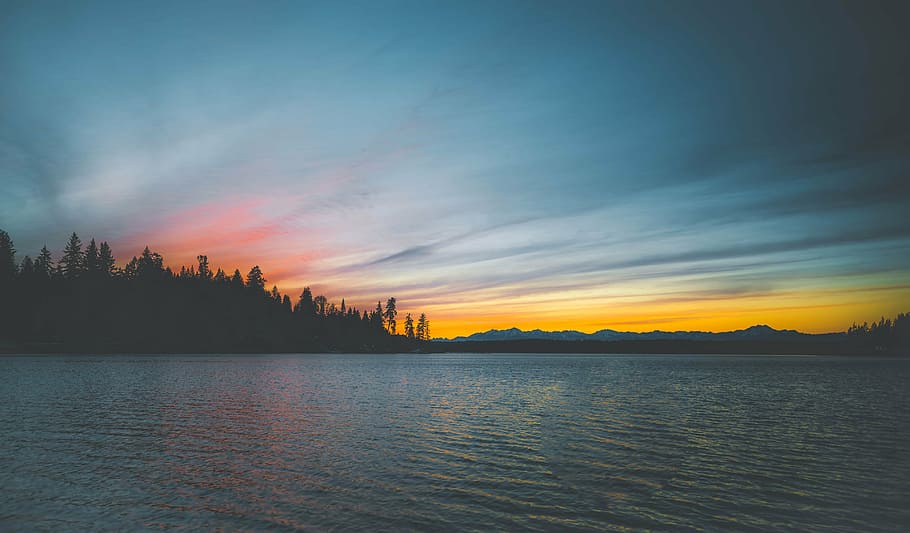 rippling body of water beside trees during sunset, sea, ocean HD wallpaper
